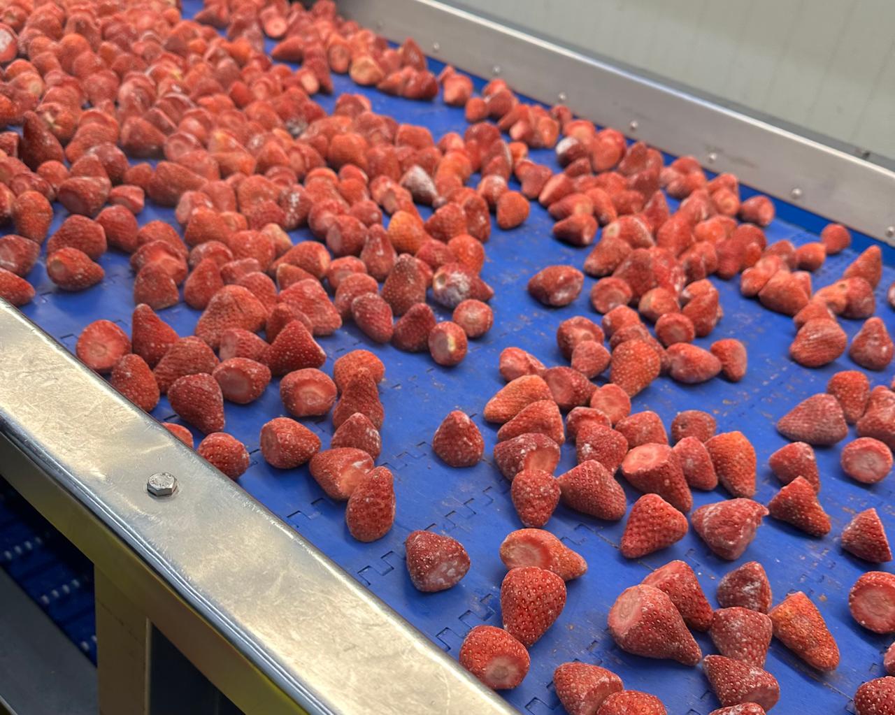 WhatsApp Image 2025-04-03 at 11.48.06_187f030e