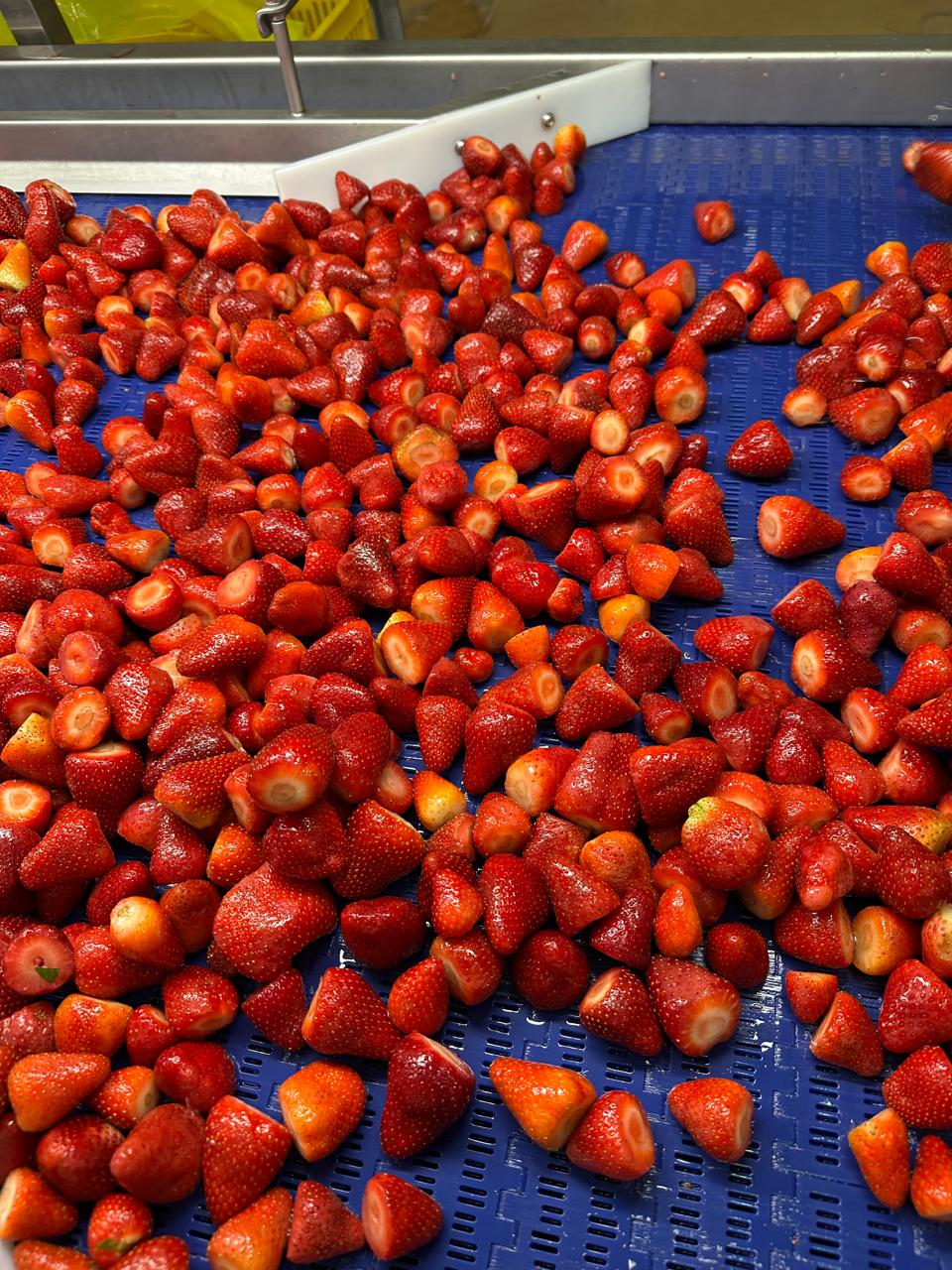 WhatsApp Image 2025-04-03 at 11.48.06_e416ea85